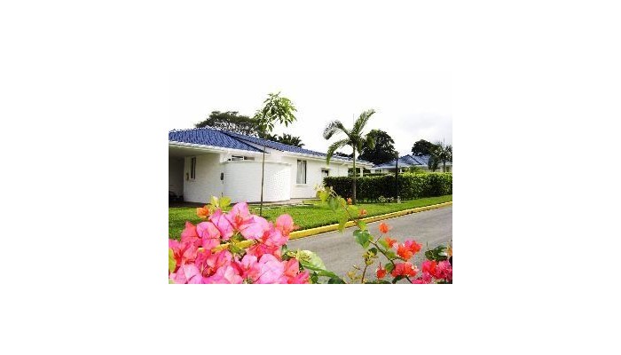 Hotel Palma Verde poza 2