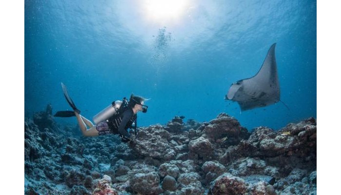 Intercontinental Maldives Maamunagau Resort poza 10