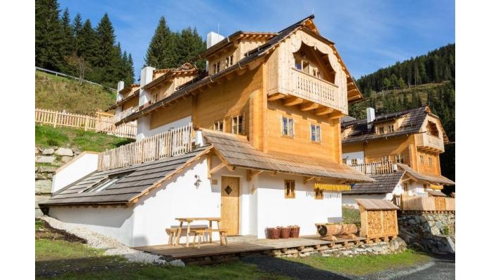Hotel Almdorf Seinerzeit poza 0