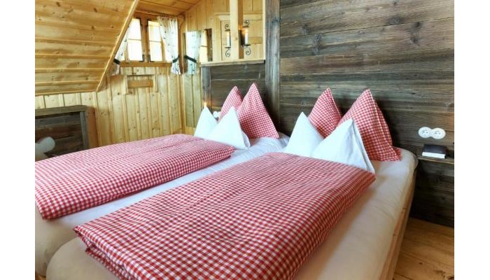 Hotel Almdorf Seinerzeit poza 2