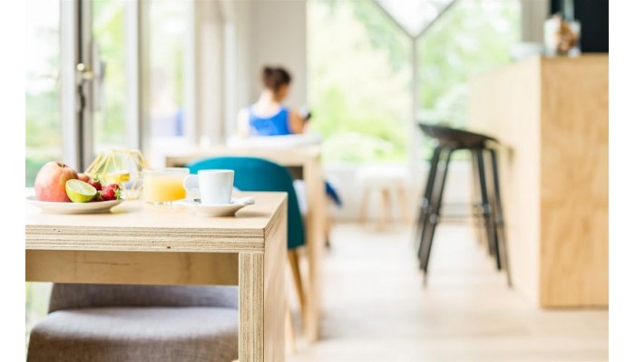 Best Western Bridge Hotel Lyon East poza 11