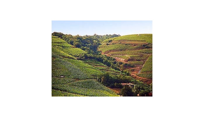 Hotel Ibis Lyon Sud poza 10