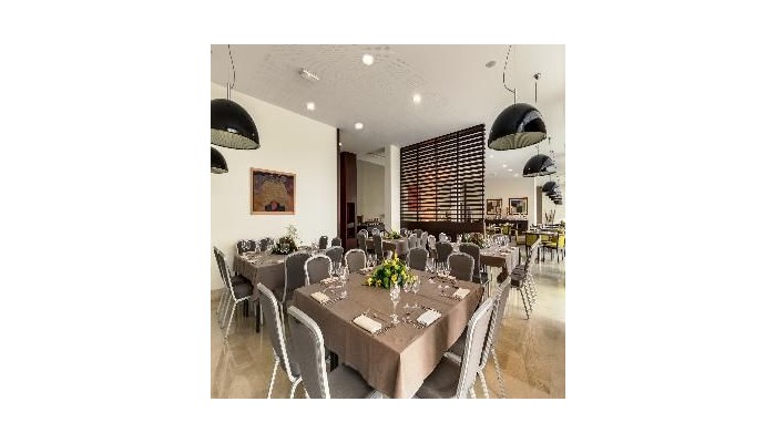 Hotel Nh Lyon Airport poza 9