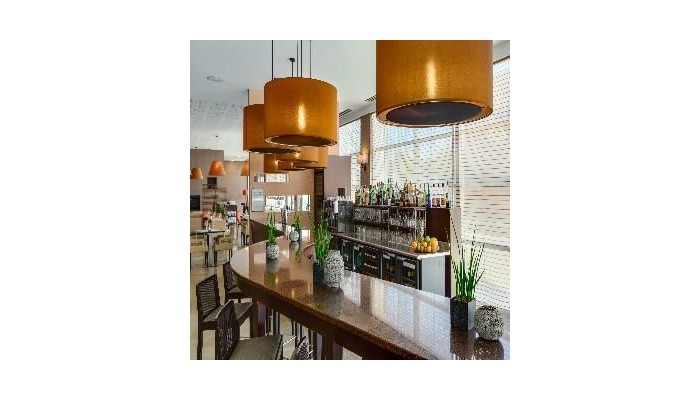 Hotel Nh Lyon Airport poza 3