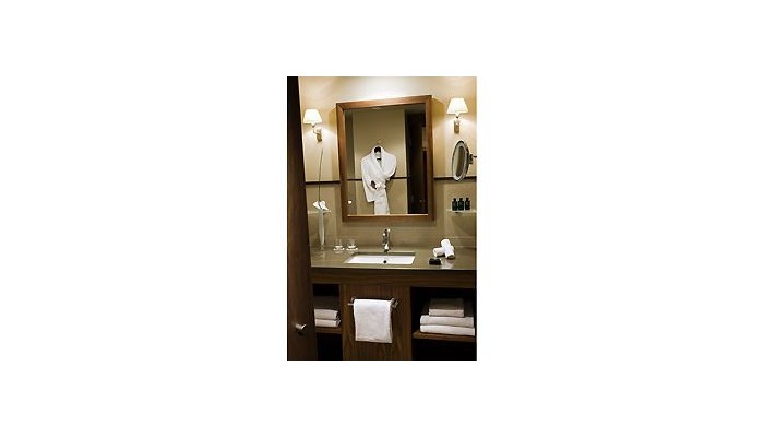 Hotel Sofitel Bellecour poza 7