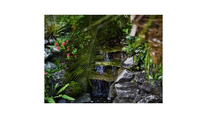 Hotel La Foret poza 6