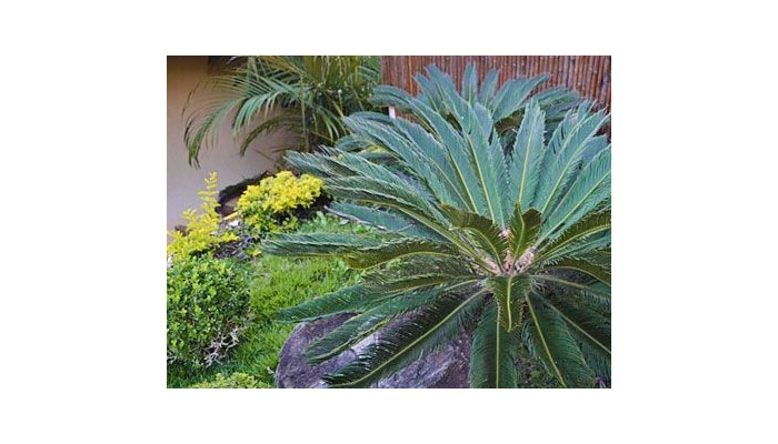 Hotel La Foret poza 8