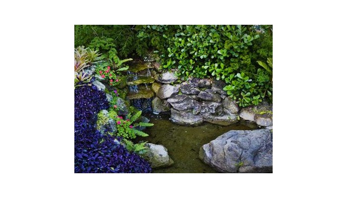 Hotel La Foret poza 7