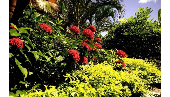 Hotel Le Relais La Borie poza 11