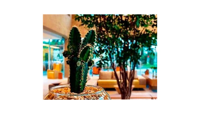 Hotel Ramada Encore Ribalta poza 9