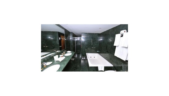 Hotel Windsor Excelsior poza 0