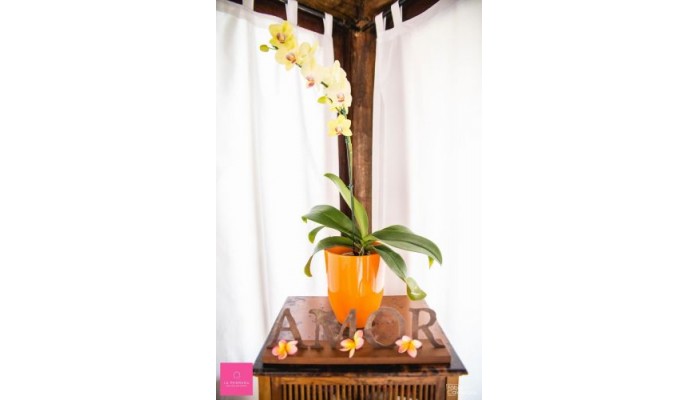 La Pedrera Small Hotel Spa poza 5