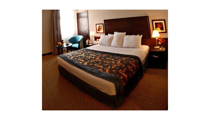 Hotel Golden Tulip Al Nasiriah poza 0