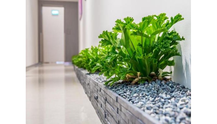 Summer View Hotel poza 2