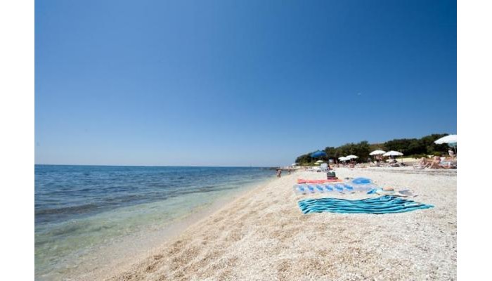 Apartments Cvek poza 2