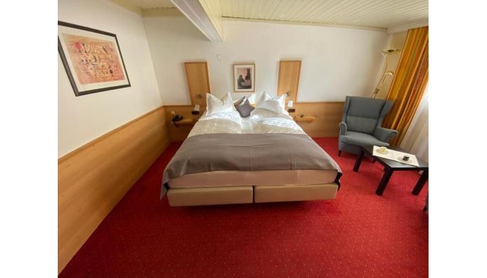 Poza pentru Hotel Panther 1586-1632138162 Hotel Panther poza 8