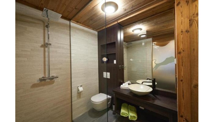 Poza pentru Hotel Panther 4935-1632138156 Hotel Panther poza 10