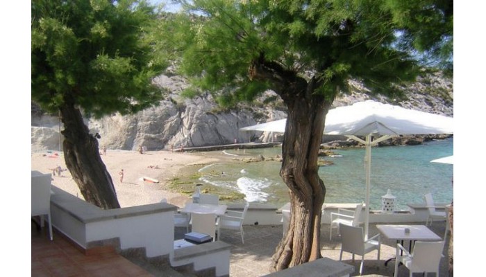 Hotel Niu poza 1