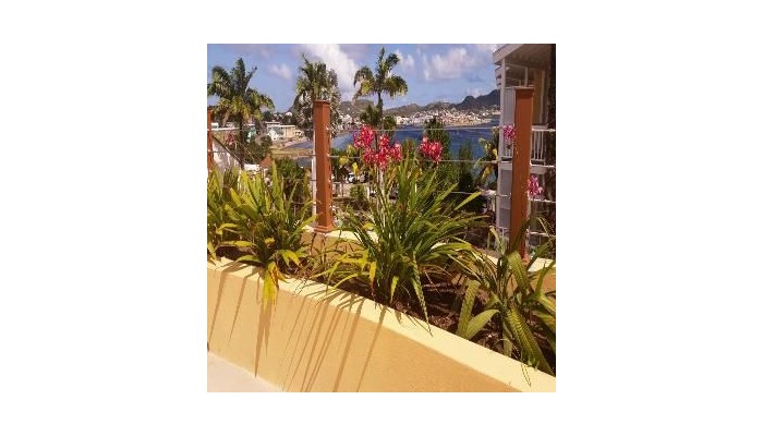 Hotel Ocean Terrace Inn poza 5