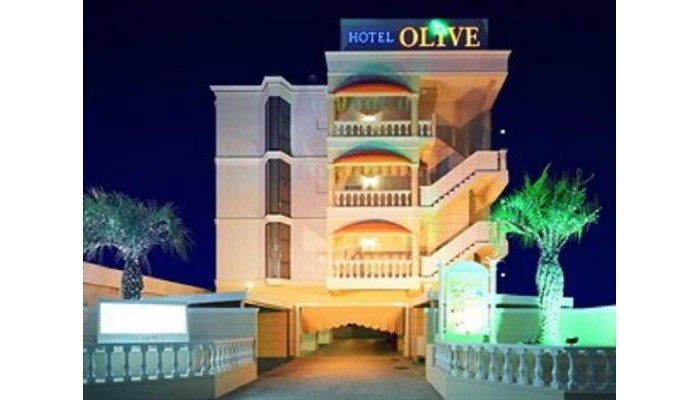 Olive Sakai Hotel poza 0