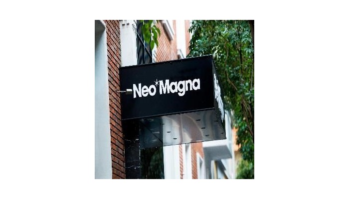 Hotel Neomagna Madrid poza 8