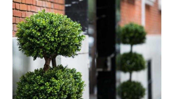 Hotel Neomagna Madrid poza 6