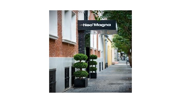 Hotel Neomagna Madrid poza 7