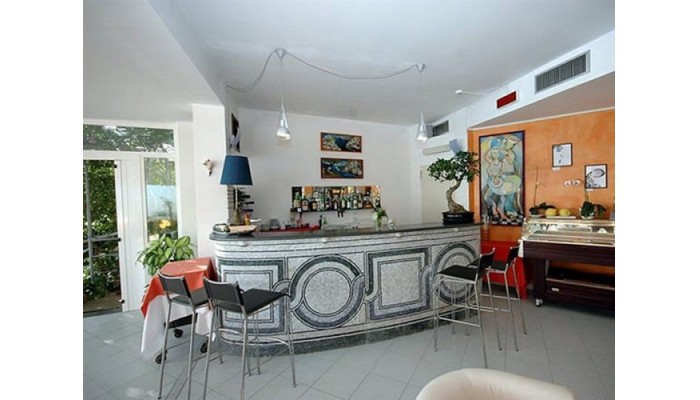 Hotel Il Pino poza 4