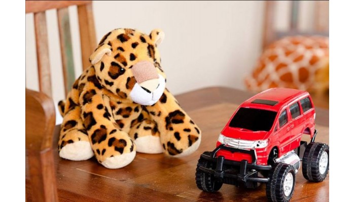 Hotel Casa Do Forte Pousada poza 8