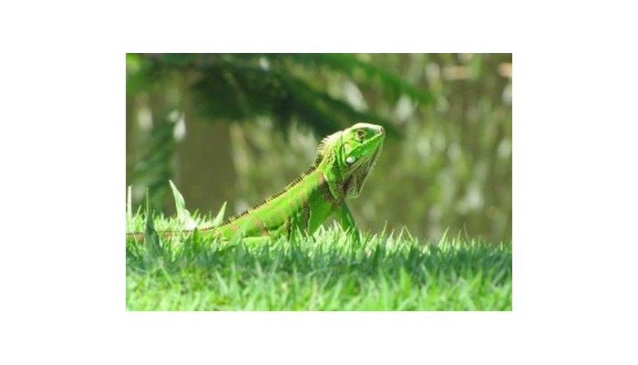 Hotel Deville Prime Salvador poza 11