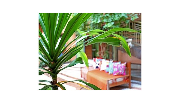 Hotel Pousada Sobrado Da Vila poza 6