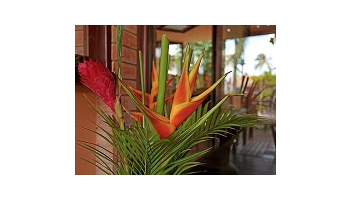 Hotel Pousada Sobrado Da Vila poza 7