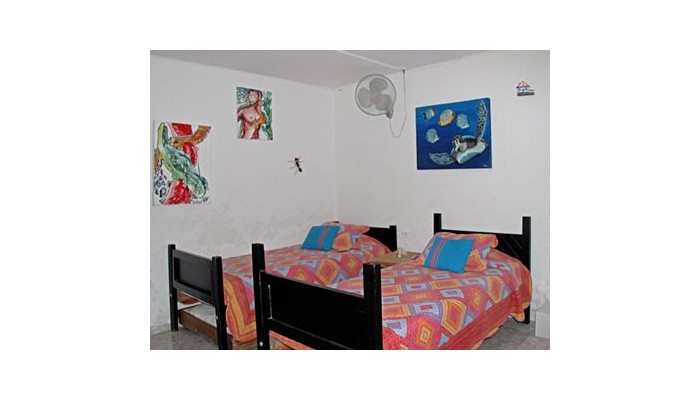 Hotel Posada Nativa Lizard House poza 6