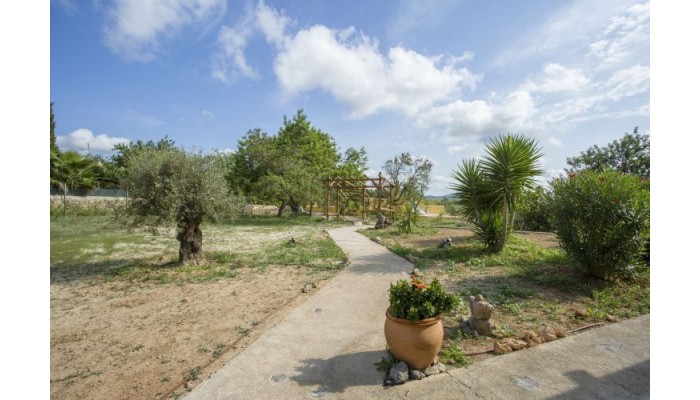 Hotel Las Mariposas Ibiza poza 6