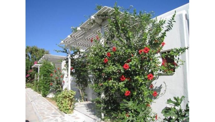 Hotel Surfing Beach poza 3