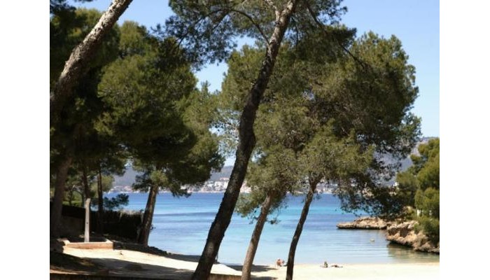 Hotel Holiday Center poza 0