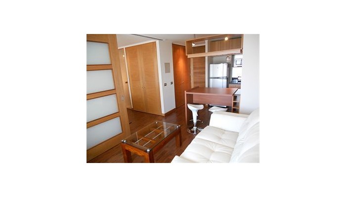 Hotel Departamentos Amoblados Flat 2170 poza 10