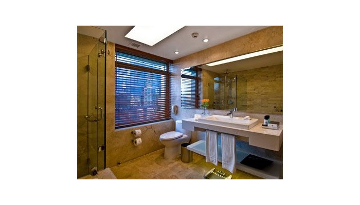 Hotel Intercontinental Santiago And Convention Center poza 1