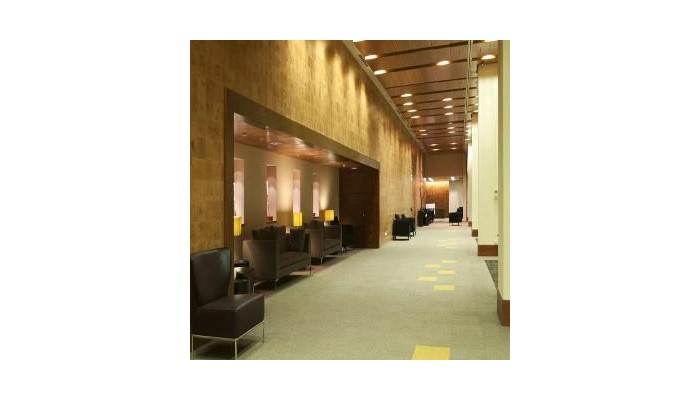 Hotel Intercontinental Santiago poza 7