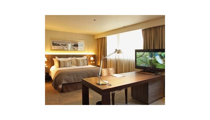 Hotel Los Espaa±oles Plus poza 1