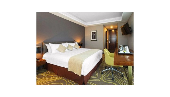 Hotel Manquehue Aeropuerto poza 10