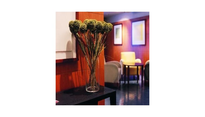 Hotel Nh Ciudad De Santiago poza 8