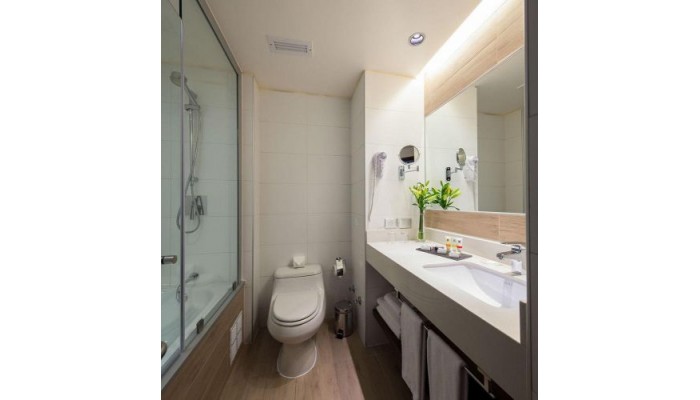 Hotel Plaza El Bosque Nueva Las Condes poza 3