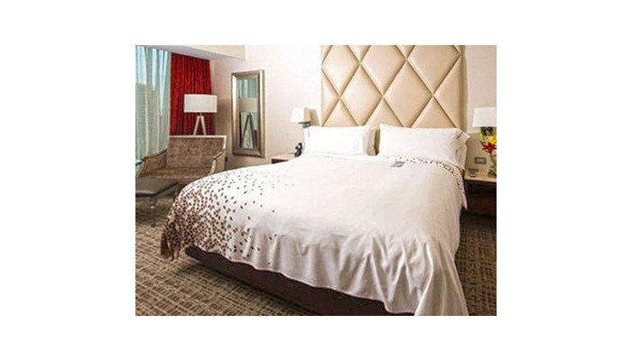 Hotel Renaissance Santiago poza 5