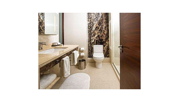 Hotel Renaissance Santiago poza 4