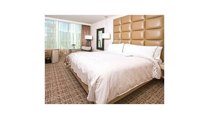 Hotel Renaissance Santiago poza 3