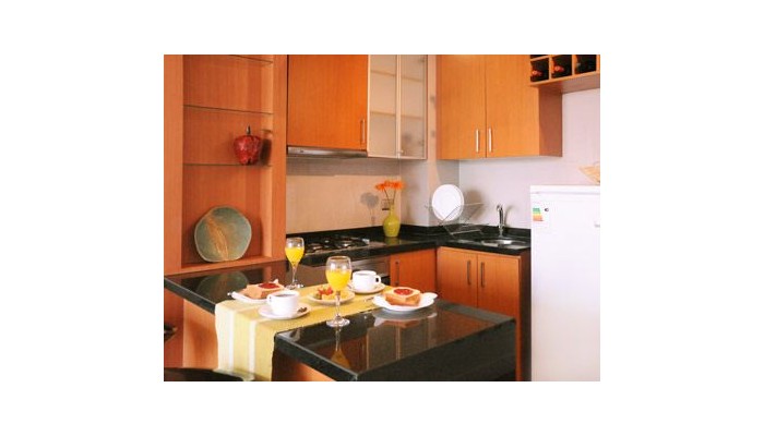 Metropolitan Santiago Apartments poza 3