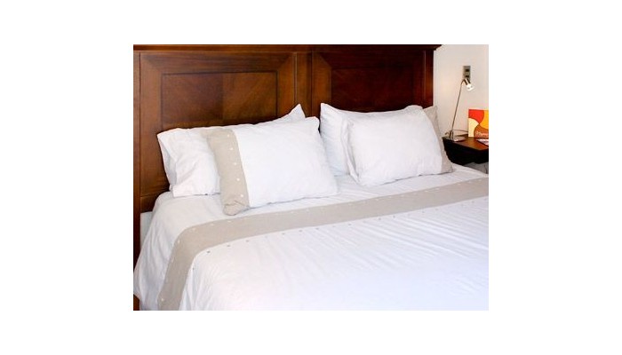 Monarca Hoteles Apart Las Condes poza 11