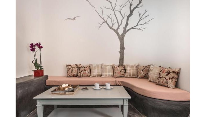 Hotel Andronis Luxury Suites poza 14