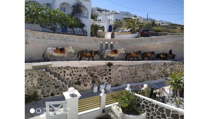 Sunny Days Hotel poza 9